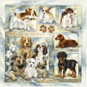 It's A Doggy Dog World